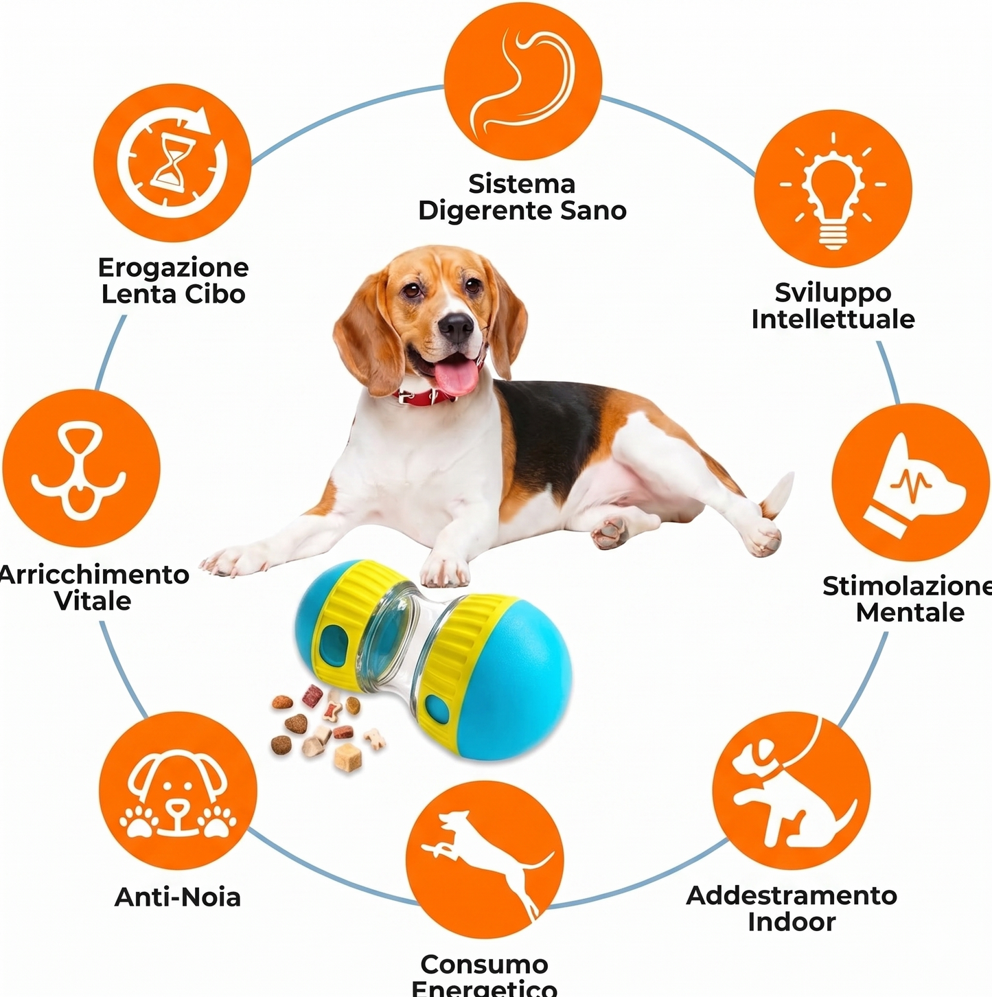 GiroSnack™ - Gioco educazione alimentare