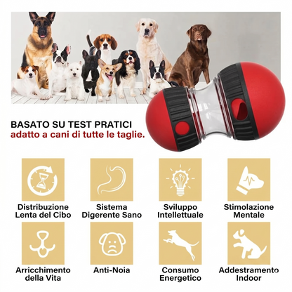 GiroSnack™ - Gioco educazione alimentare